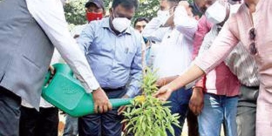 ಕೋಟಿ ವೃಕ್ಷ ಯೋಜನೆಯಡಿ 75,000 ಸಸಿ ನೆಡುವ ಕಾರ್ಯಕ್ರಮಕ್ಕೆ ಚಾಲನೆ